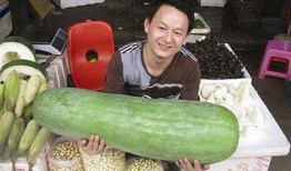 52每日大瓜视频,揭秘娱乐圈幕后故事，带你领略明星真实生活